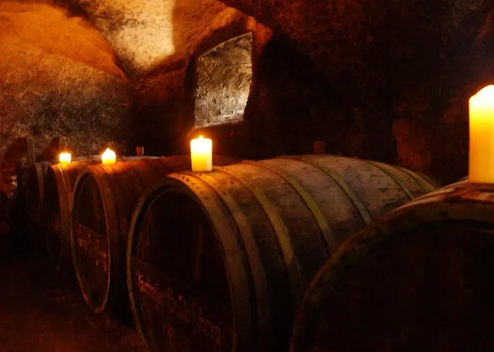 아파트 Schatztruhe - 매링노비안드